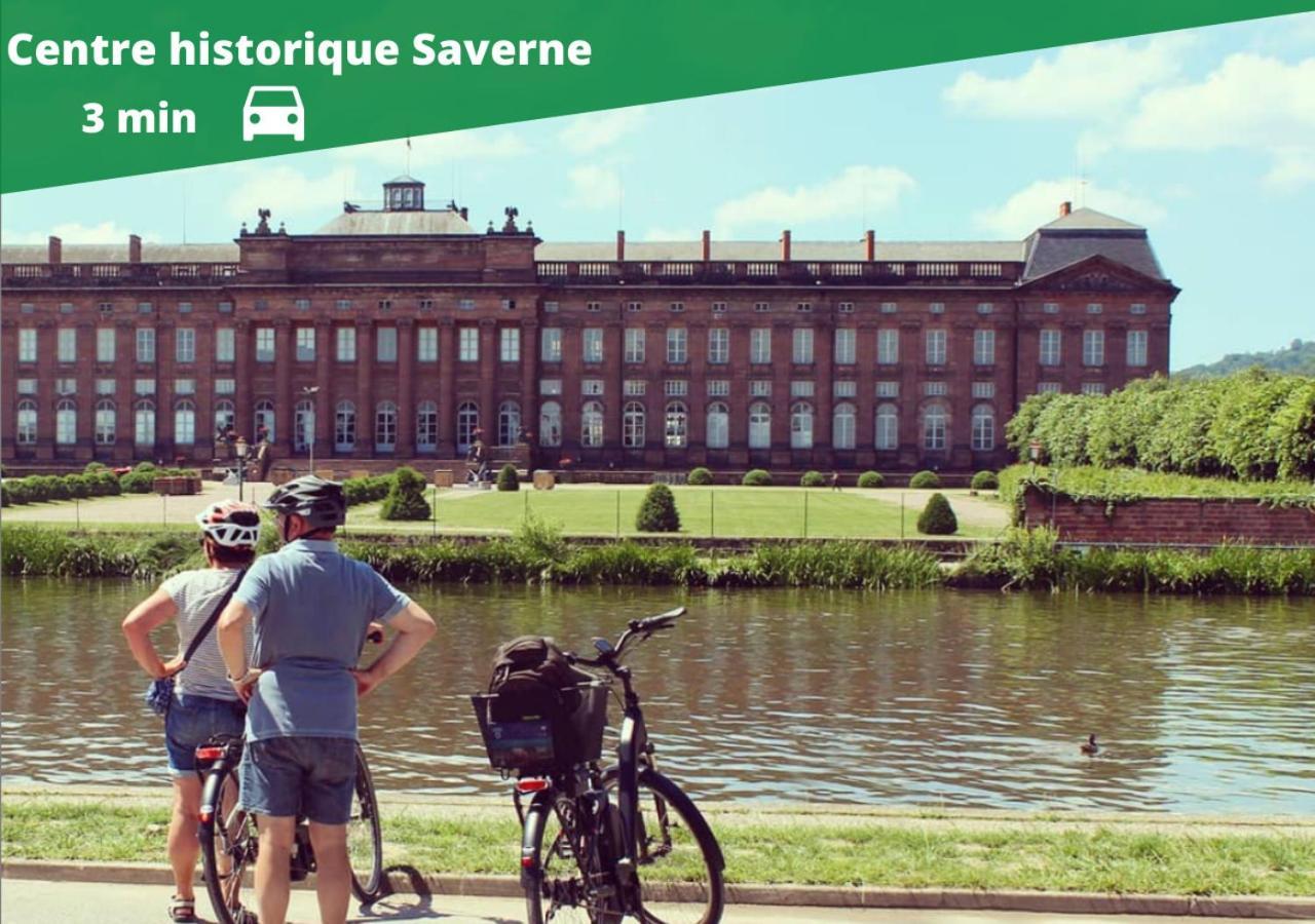 Auguste, La Romaine Et My Cesar - Location Saverne Exteriör bild